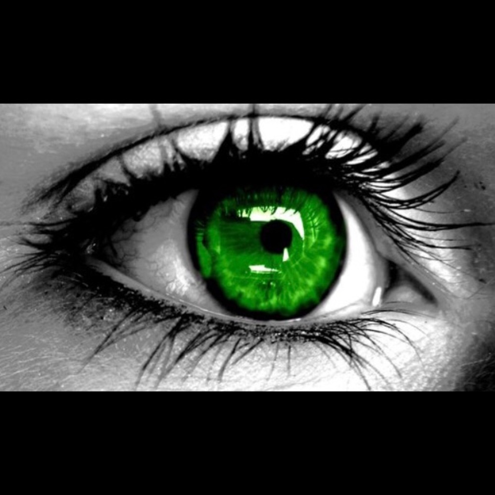 Meet your Posher, Paulina